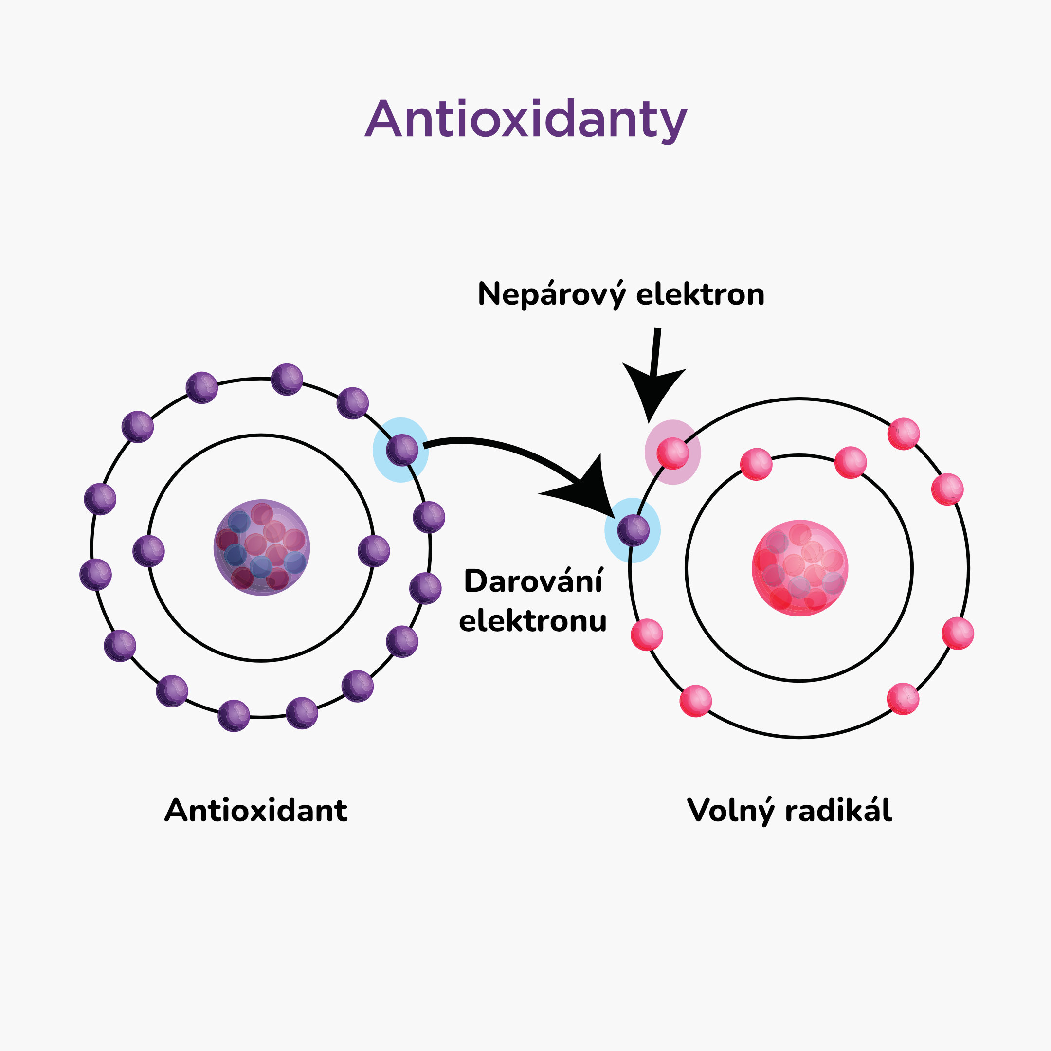 antioxidanty_infografika_2_cz